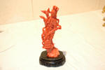 Finely sculpted coral