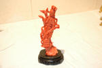 Corail finement sculpté