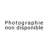 Photographie non disponible - Bronze d'après REMINGTON